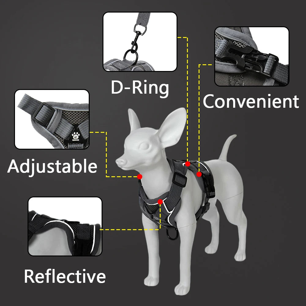 Reflective Dog Harness and Leash Set