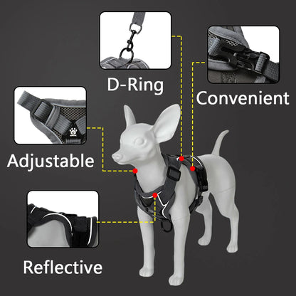 Reflective Dog Harness and Leash Set
