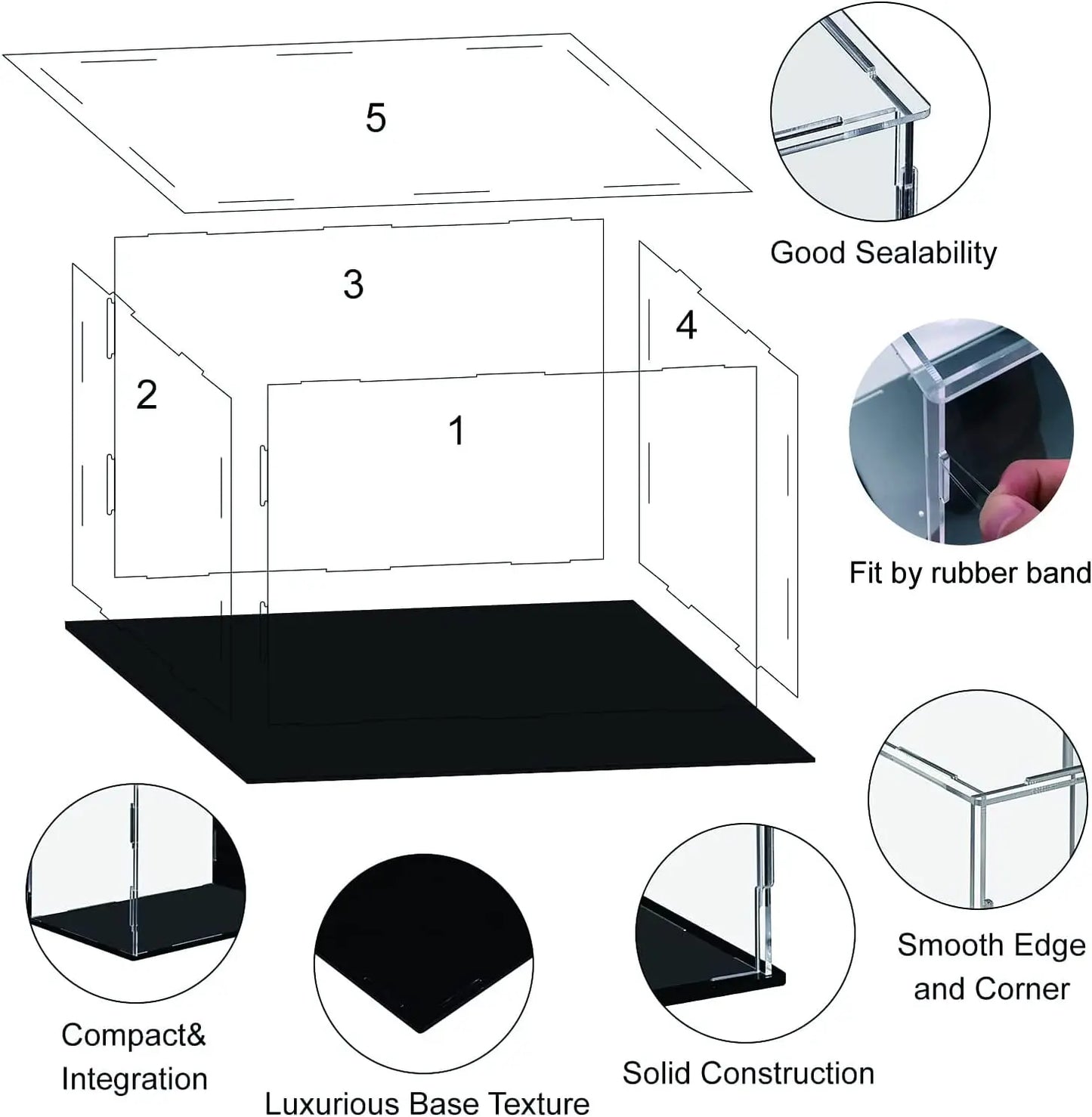 Acrylic Display Case
