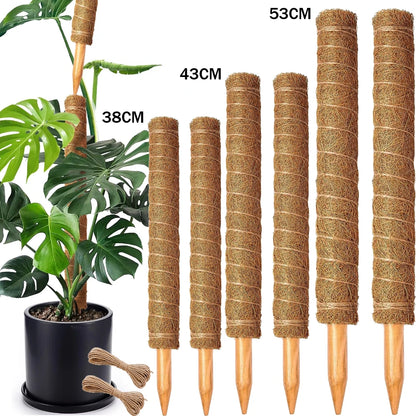 Stackable Moss Pole for Plants