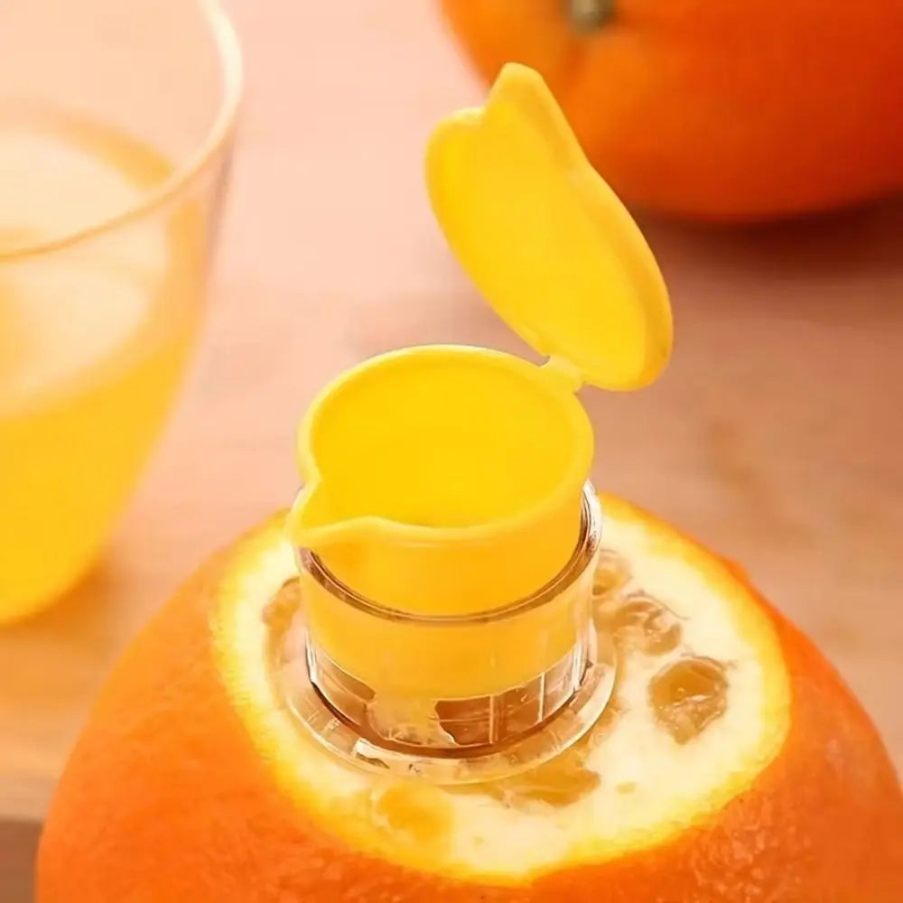 Mini Citrus Juicer
