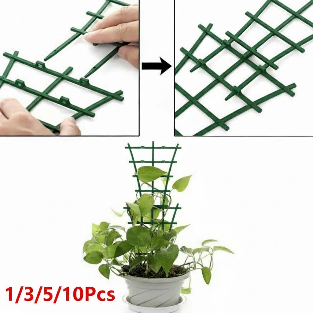 Mini Plant Trellis