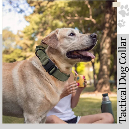 Adjustable Tactical Dog Collar