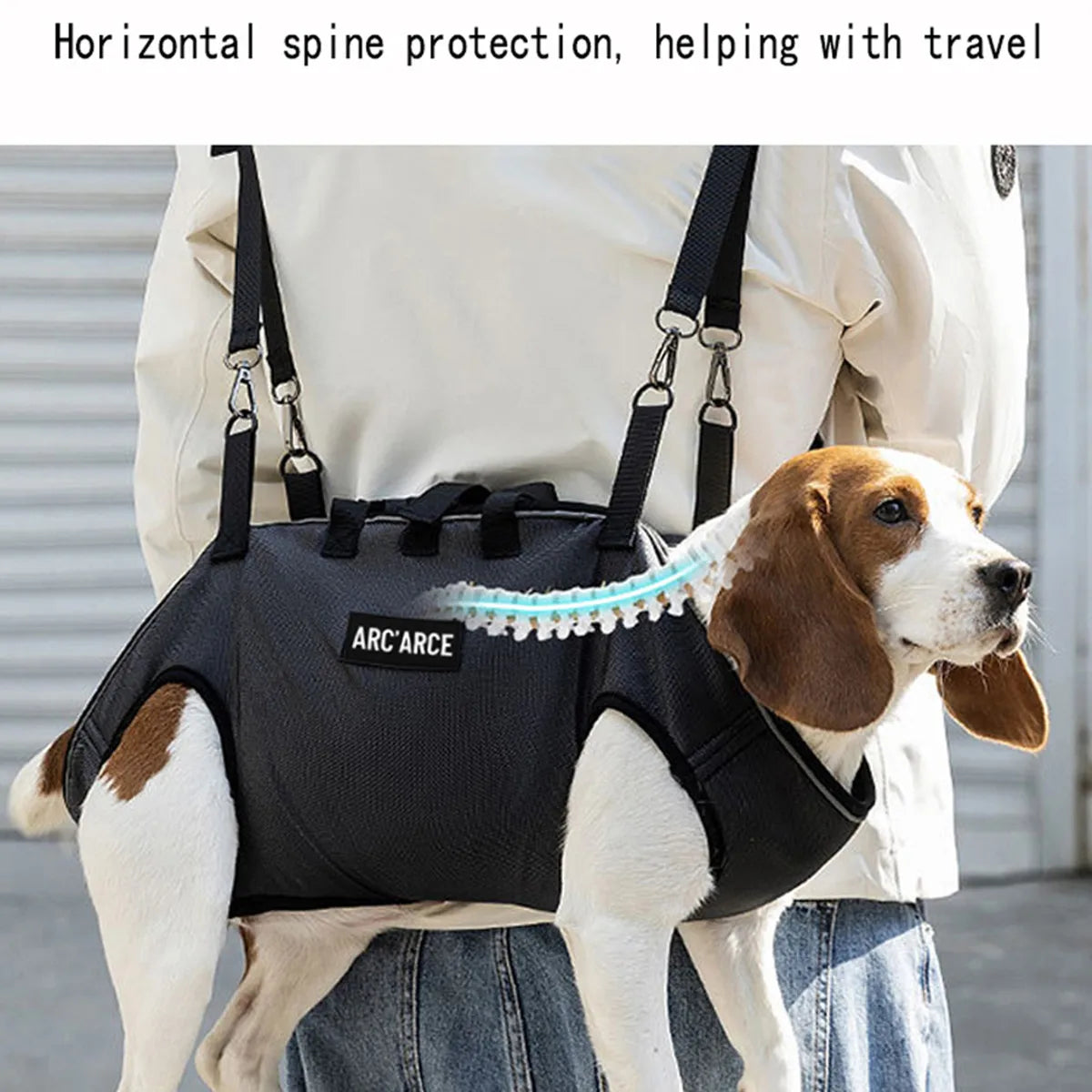 Rear-Facing Pet Backpack Carrier