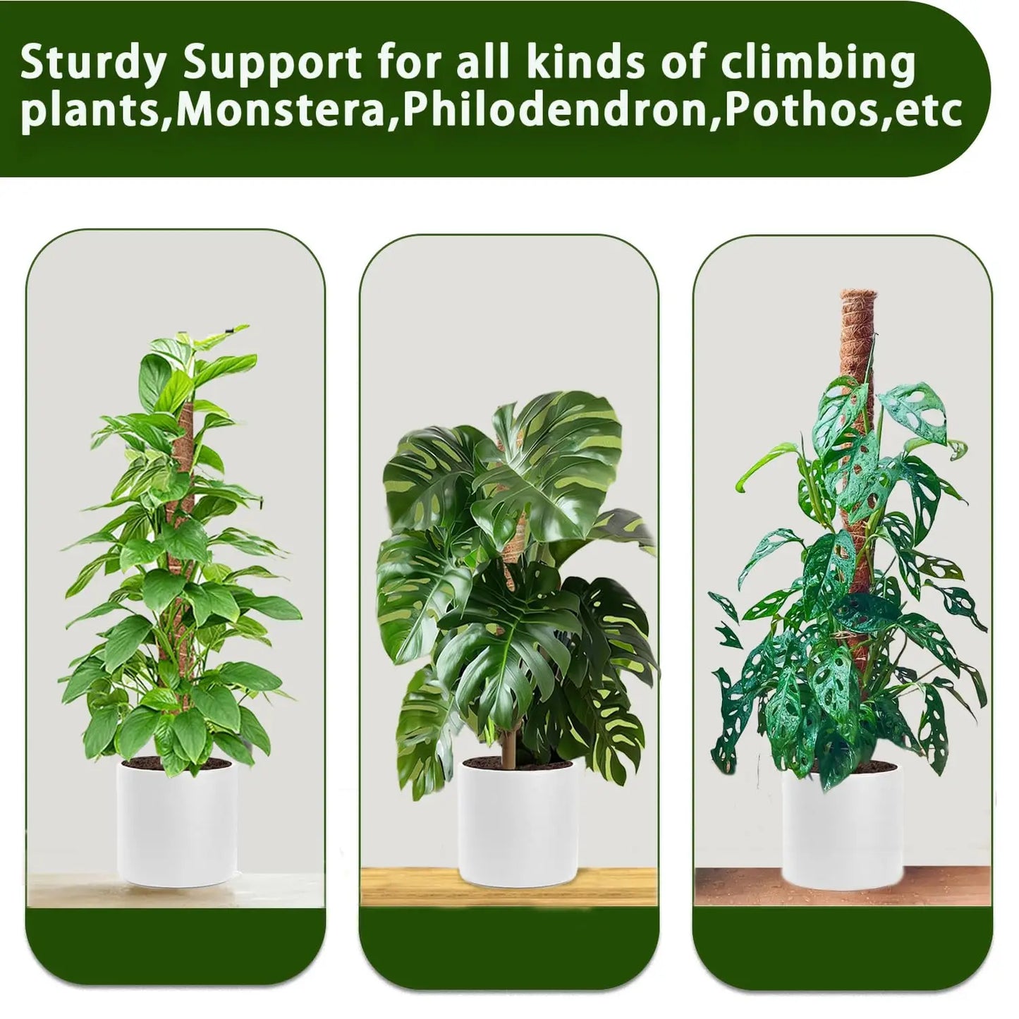 Stackable Moss Pole for Plants