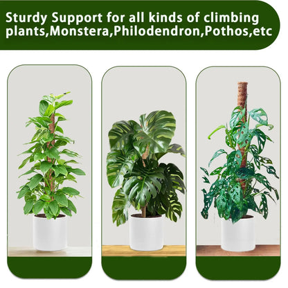 Stackable Moss Pole for Plants