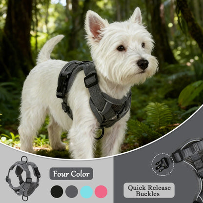 Reflective Dog Harness and Leash Set