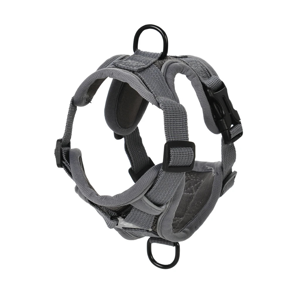 Reflective Dog Harness and Leash Set