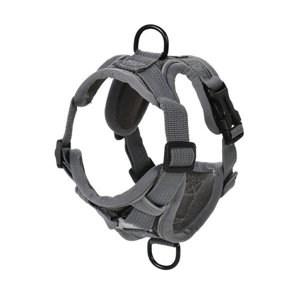 Reflective Dog Harness and Leash Set