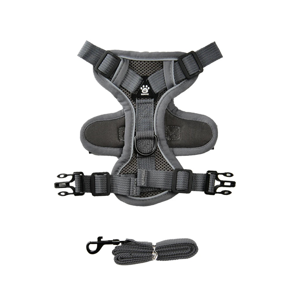 Reflective Dog Harness and Leash Set