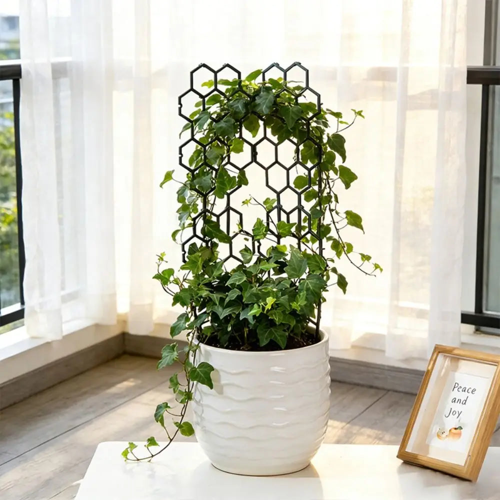 Honeycomb Plant Trellis
