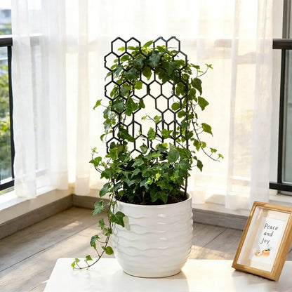 Honeycomb Plant Trellis
