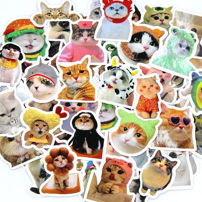 Cute Cat Stickers