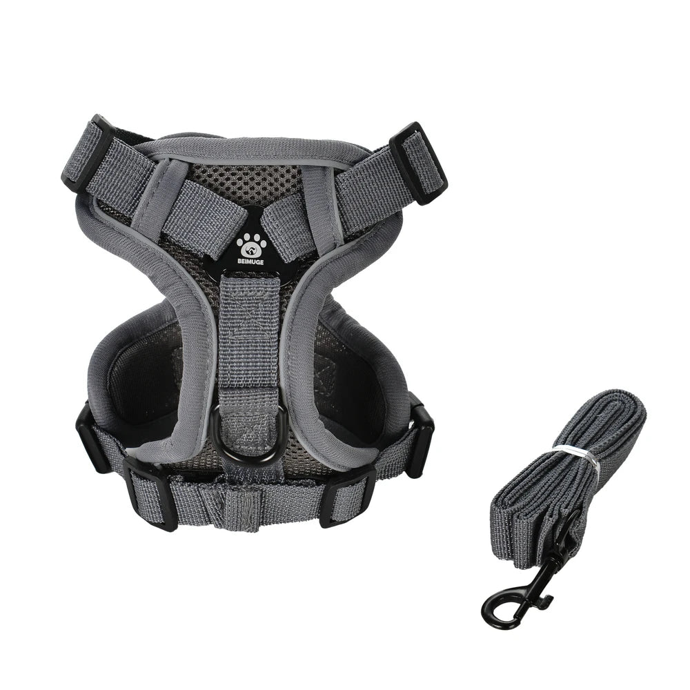 Reflective Dog Harness and Leash Set