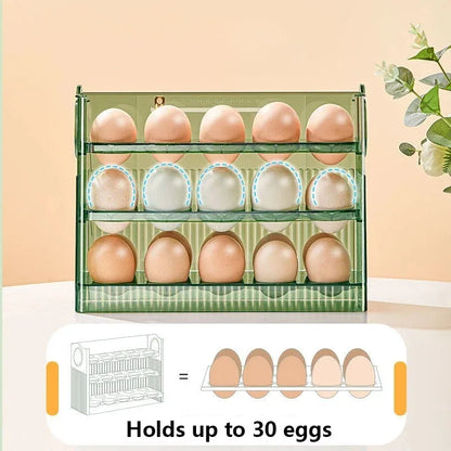 Transparent Egg Storage Box