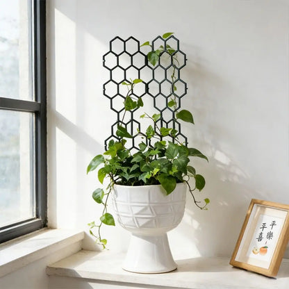 Honeycomb Plant Trellis
