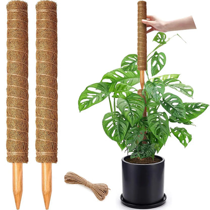 Stackable Moss Pole for Plants