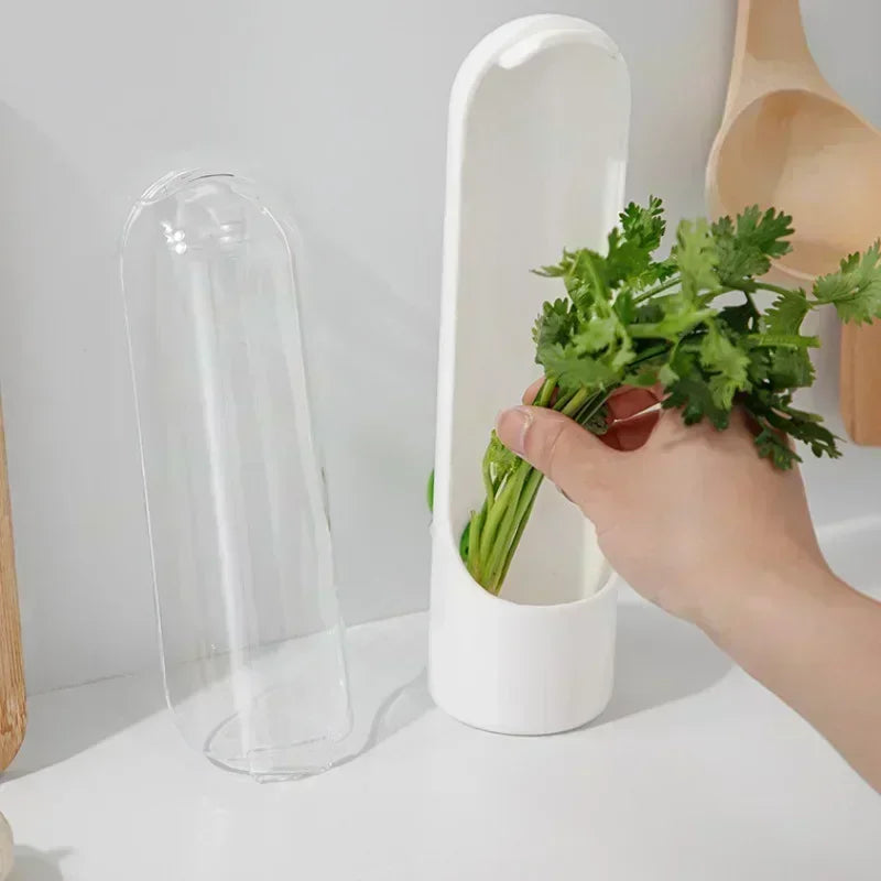 Refrigerator Herb Preserver