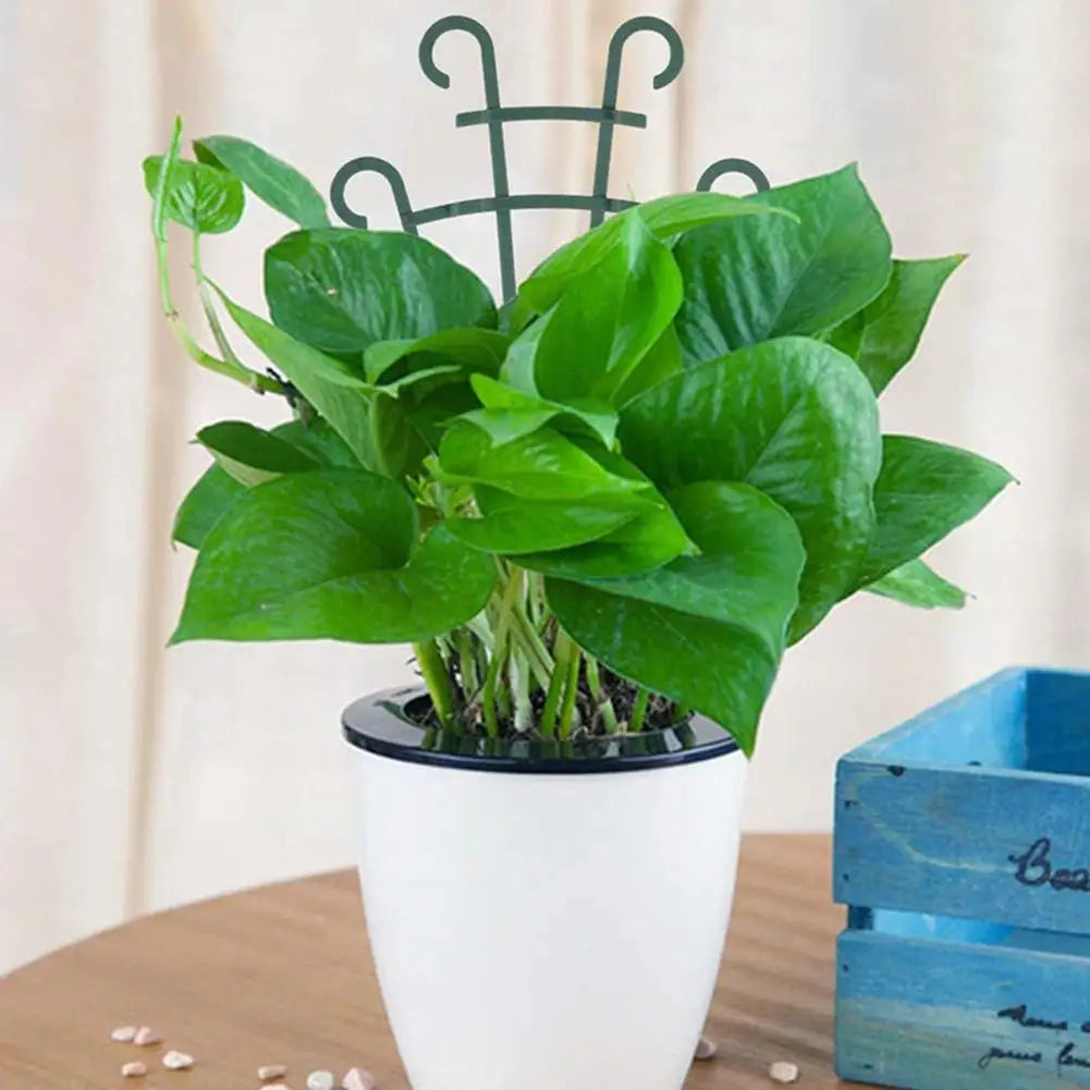 Mini Plant Trellis