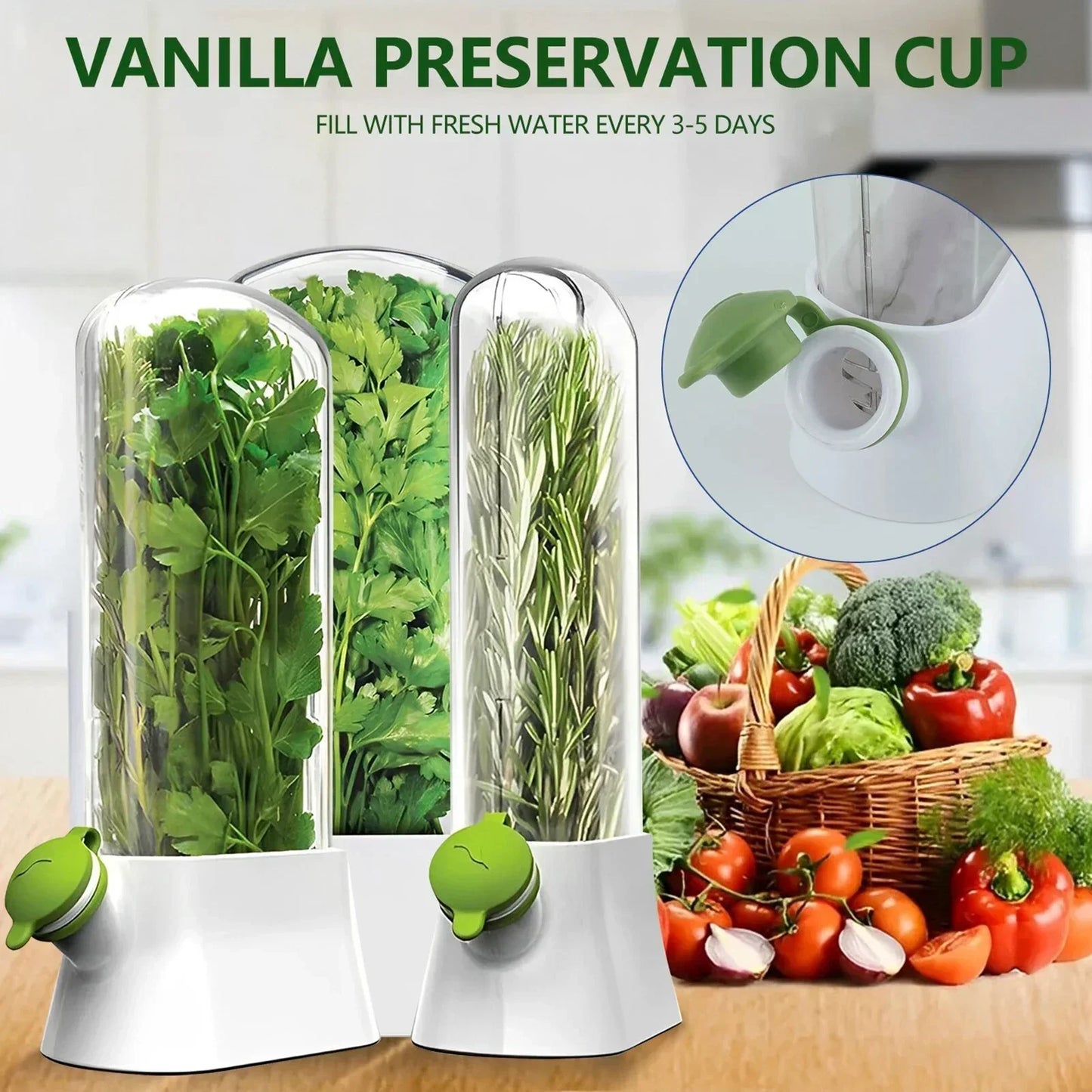 Large Herb Keeper for Refrigerator
