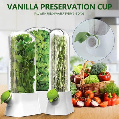 Large Herb Keeper for Refrigerator