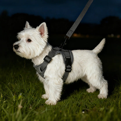 Reflective Dog Harness and Leash Set