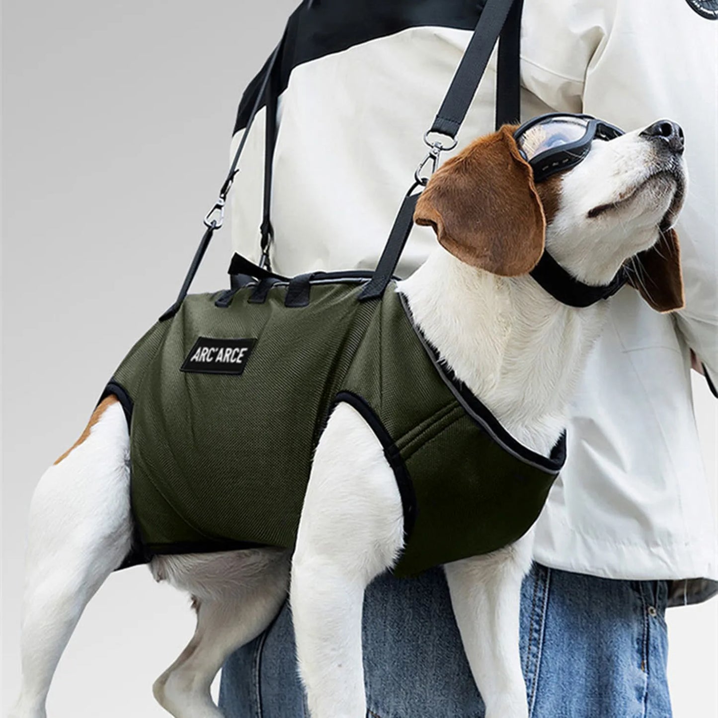 Rear-Facing Pet Backpack Carrier