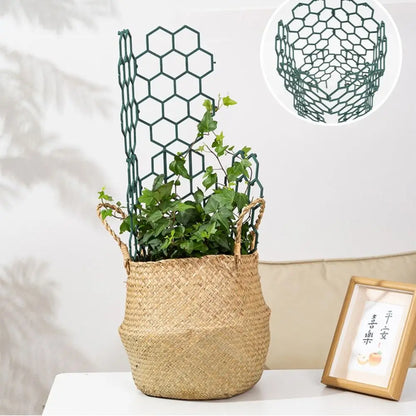 Honeycomb Plant Trellis