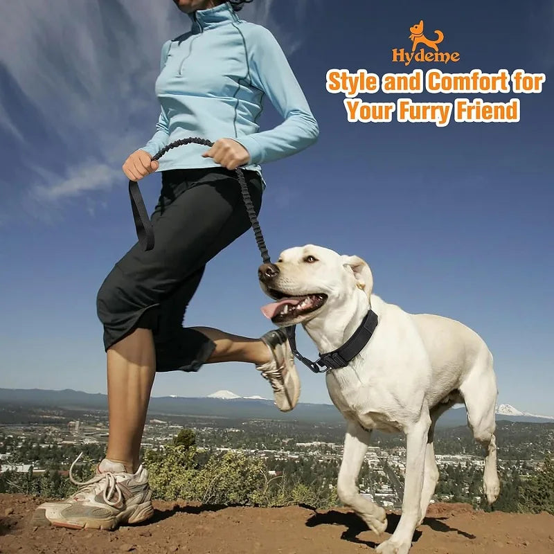 Adjustable Tactical Dog Collar