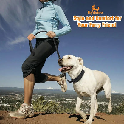 Adjustable Tactical Dog Collar