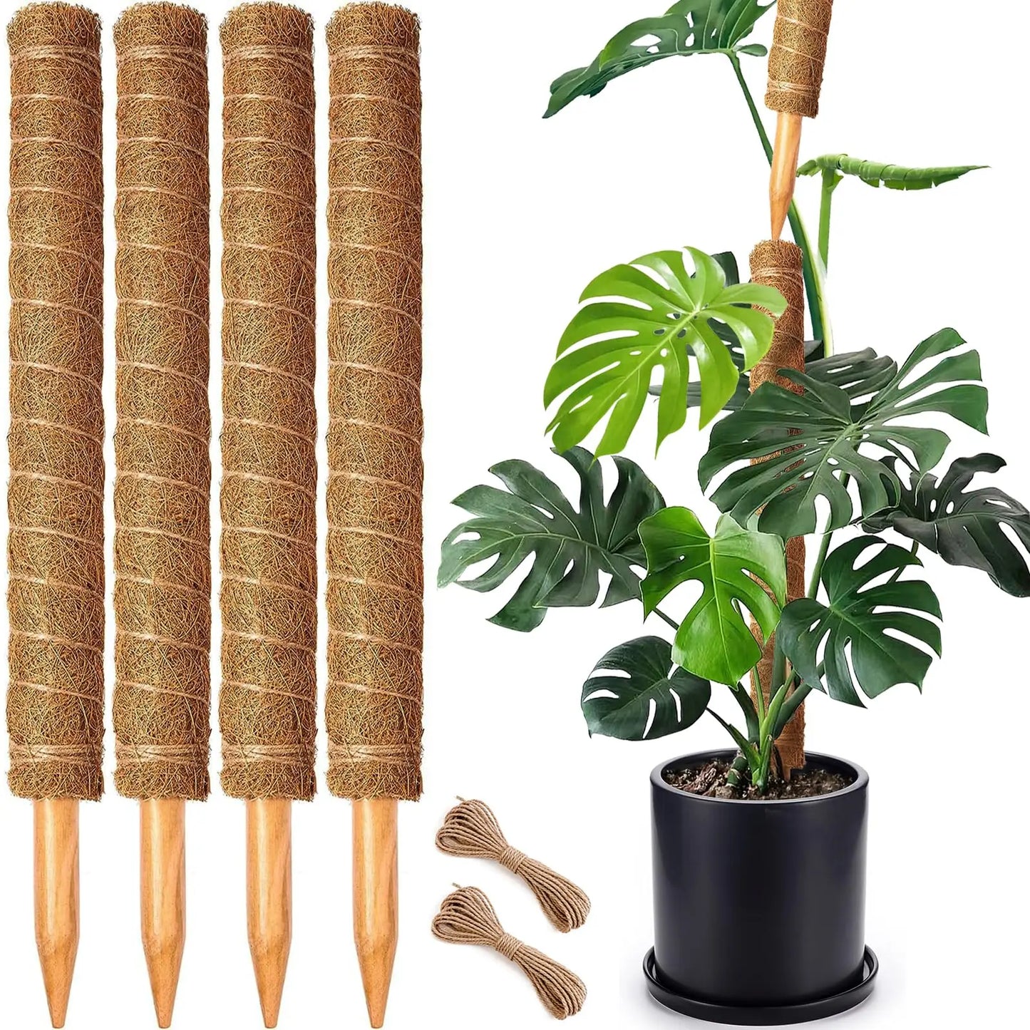 Stackable Moss Pole for Plants