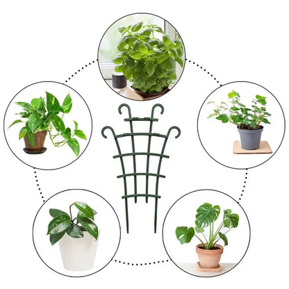 Mini Plant Trellis