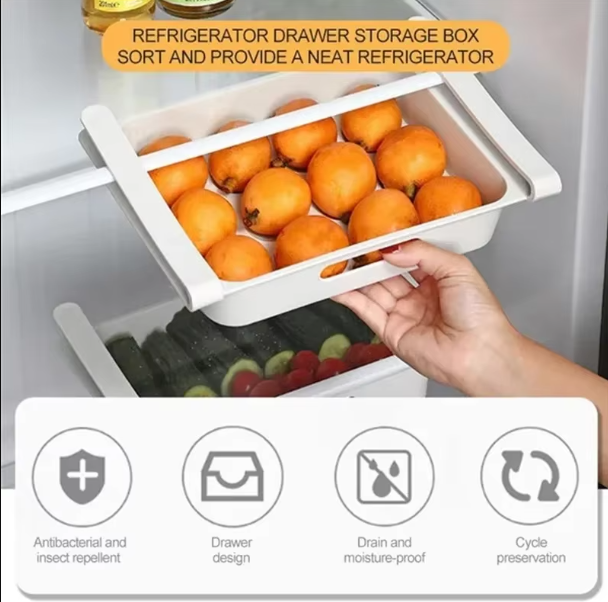Transparent Egg Storage Box